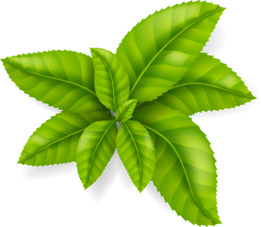 Icono natural de Productos Bionat para bienestar y fórmulas naturales